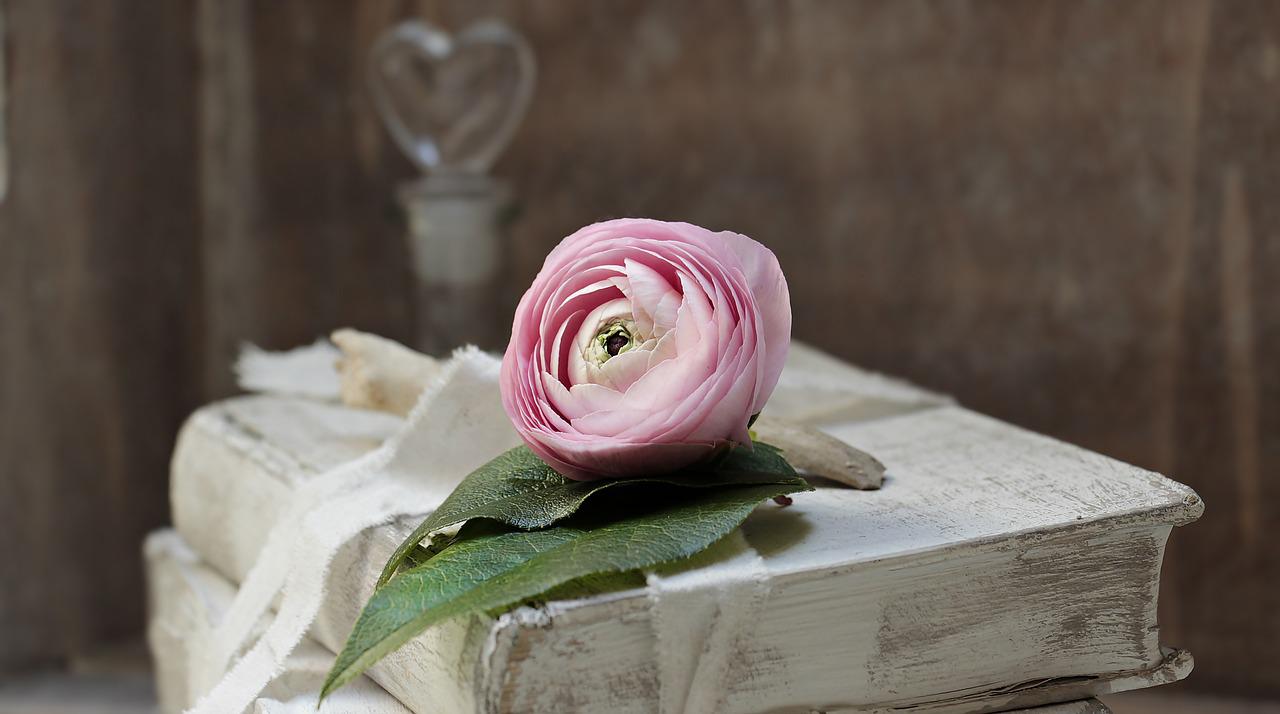 Stara księga z białą okładką i różową różą na niej
